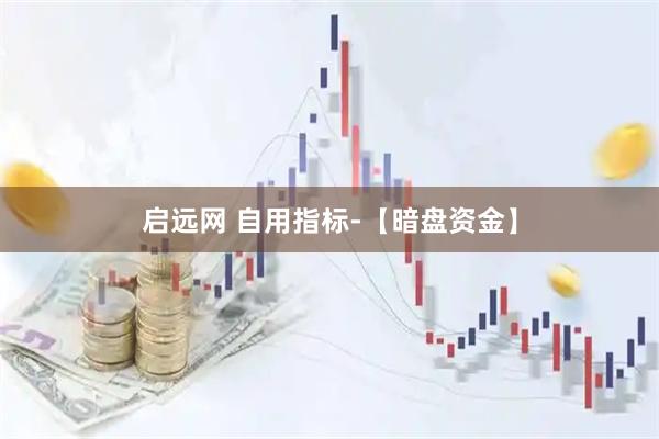启远网 自用指标-【暗盘资金】