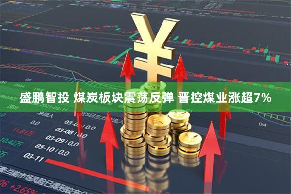 盛鹏智投 煤炭板块震荡反弹 晋控煤业涨超7%
