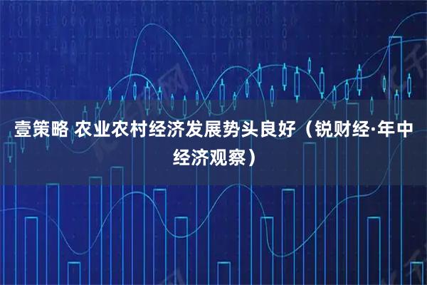 壹策略 农业农村经济发展势头良好（锐财经·年中经济观察）